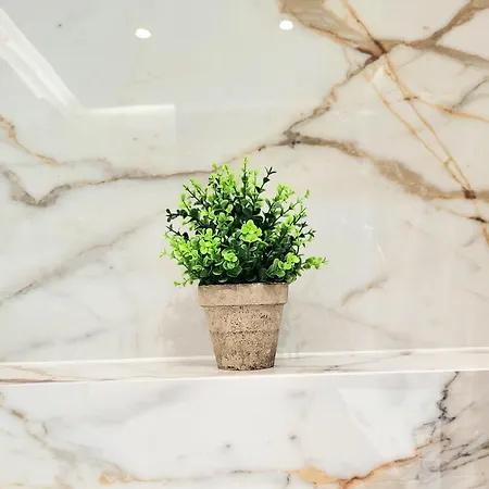 Eksclusive Paradise Down Town 6 Persons 3