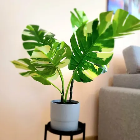 شقة Eksclusive Paradise Down Town 6 Persons 3