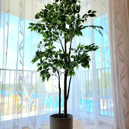 Eksclusive Paradise Down Town 6 Persons 3 Krakau