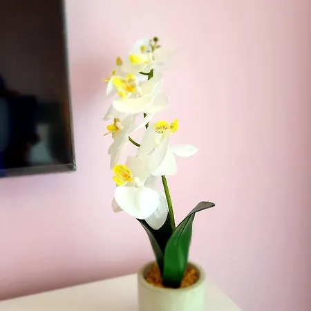 Eksclusive Paradise Down Town 6 Persons 3 Apartment Krakau