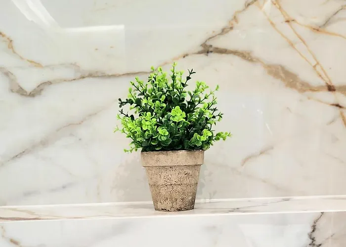 Eksclusive Paradise Down Town 6 Persons 3