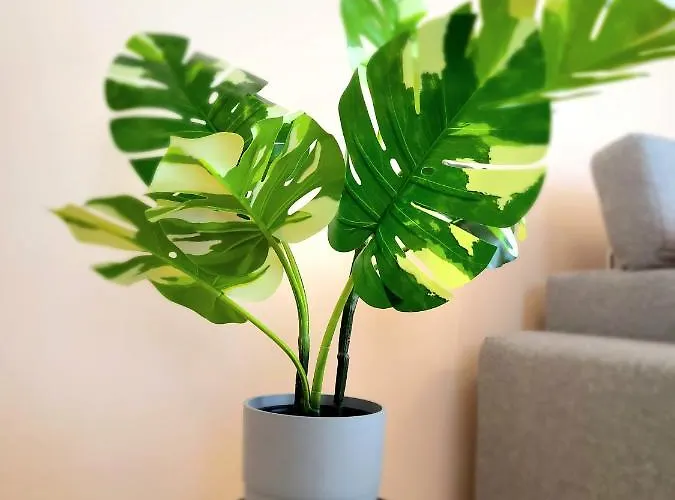 Apartment Eksclusive Paradise Down Town 6 Persons 3