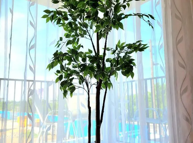 Eksclusive Paradise Down Town 6 Persons 3 Krakow