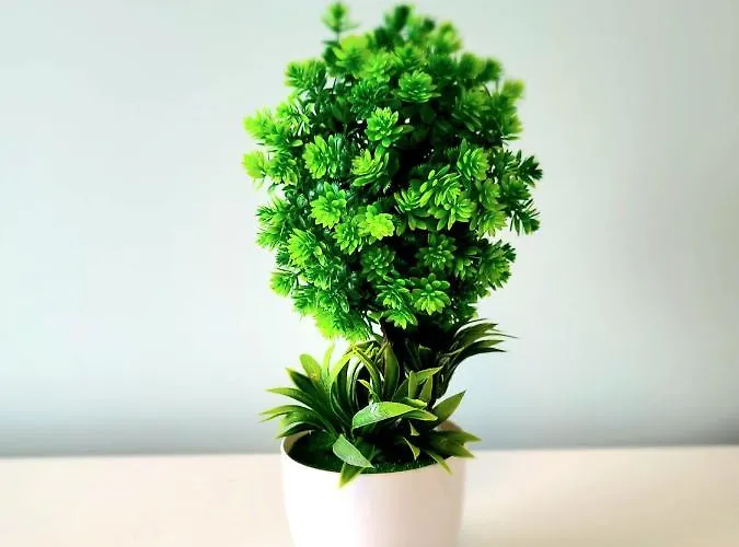 Appartement Eksclusive Paradise Down Town 6 Persons 3 *